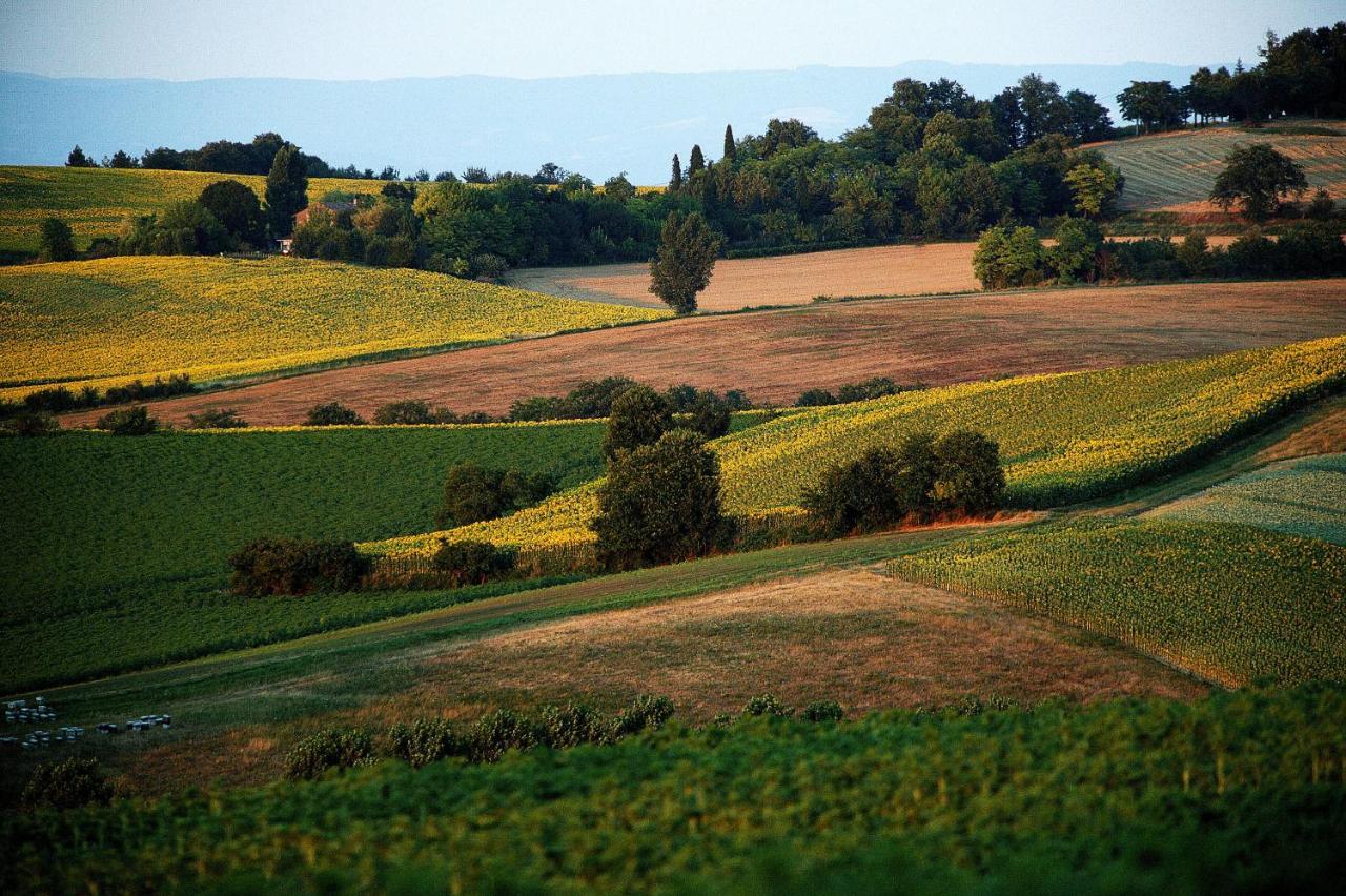 Auberge Du Poids Public Logis Hotel Saint-Félix-Lauragais المظهر الخارجي الصورة